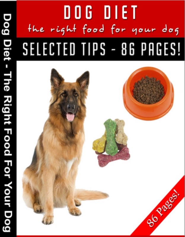 Dog Diet – The Right Food for Your Dog
